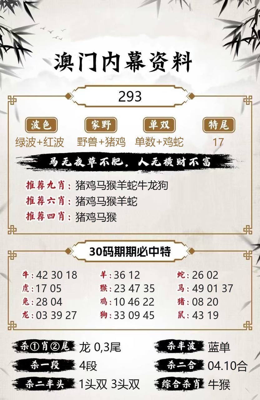 新运彩内幕资料模板